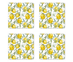 Vibrant Citrus Plants Coaster Set Of Four