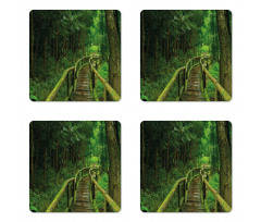 Rainforest in Thailand Coaster Set Of Four