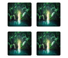 Mangrove Rainforest Lake Coaster Set Of Four