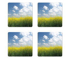 Rapeseed Field Germany Coaster Set Of Four