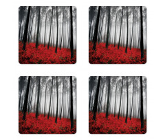 Mystical Foggy Woodland Coaster Set Of Four