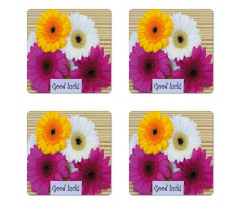 Luck Colorful Coaster Set Of Four