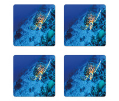 Oceanic Wildlife Coaster Set Of Four