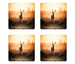 Deer Morning Sun Coaster Set Of Four