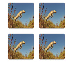 Purebred Labrador Coaster Set Of Four