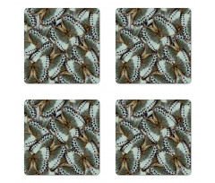 Butterflies Jungle Queen Coaster Set Of Four