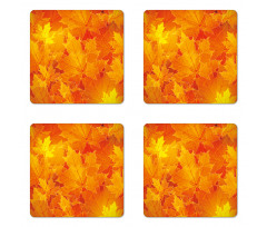 Maple Botany Foliage Leaf Coaster Set Of Four