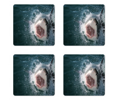 Scary Open Mouth Teeth Coaster Set Of Four