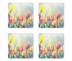 Tulips Flower Bed Park Coaster Set Of Four