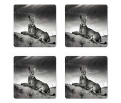 Wild Lioness Coaster Set Of Four