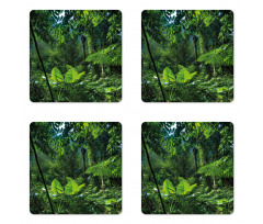 Green Untouched Nature Coaster Set Of Four