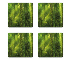 Tranquil Exotic Place Coaster Set Of Four