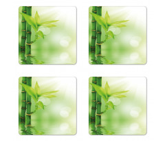 Bamboo out of Water Coaster Set Of Four