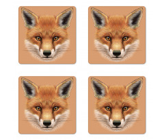 Fluffy Face Forest Coaster Set Of Four