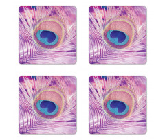 Close up Peacock Plume Coaster Set Of Four