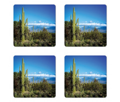 Tucson Countryside Cacti Coaster Set Of Four