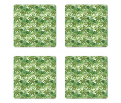 Jungle Foliage Eco Coaster Set Of Four