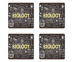 Biology Coaster Set Of Four