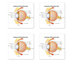 Eye Cornea Pupils Coaster Set Of Four