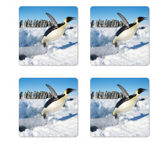 Detailed Arctic Photo Coaster Set Of Four