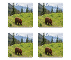 Fur Animal Nature Habitat Coaster Set Of Four