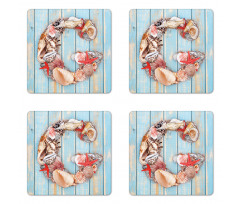 Pale Wooden Background Coaster Set Of Four