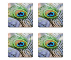 Trees Birds and Feather Coaster Set Of Four