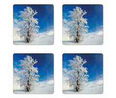 Lonely Tree Rural Land Coaster Set Of Four