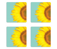 Close up Half Petal Coaster Set Of Four