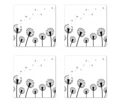 Faded Blowball Plant Coaster Set Of Four