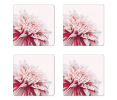 Close up Floral Blossom Coaster Set Of Four