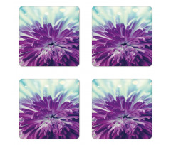 Blooming Floral Motifs Coaster Set Of Four