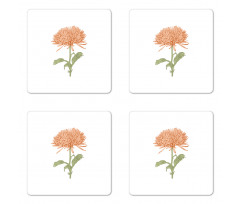 Retro Blooming Nature Coaster Set Of Four