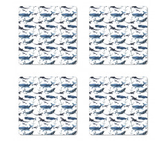 Orcas and Blue Whales Coaster Set Of Four