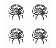 Crustacean Family Artwork Coaster Set Of Four