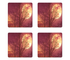 Moon Sky Dead Tree Coaster Set Of Four