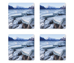 Nort American Winter Coaster Set Of Four