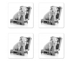 Puppy with Tie Coaster Set Of Four