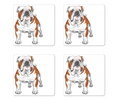 Muscular Dog Coaster Set Of Four