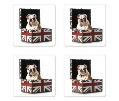 Patriotic Dog Coaster Set Of Four