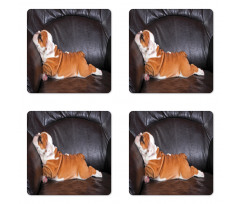 Resting Puppy Coaster Set Of Four