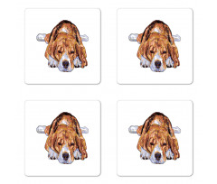 Old Dog Resting Sketch Coaster Set Of Four