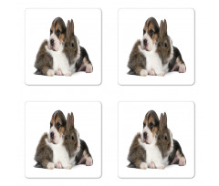 Rabbit Puppy Pet Friends Coaster Set Of Four