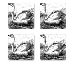 Hand Drawn Swan Design Coaster Set Of Four