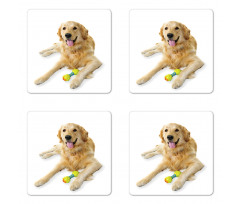 Pet Dog Toy Coaster Set Of Four