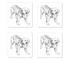 Young Dog Art Coaster Set Of Four