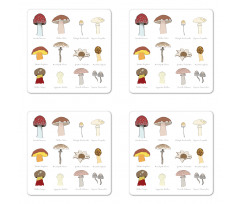 Blusher Boletus Sketch Coaster Set Of Four