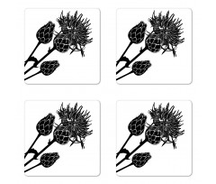 Thorny Plants Healthy Coaster Set Of Four