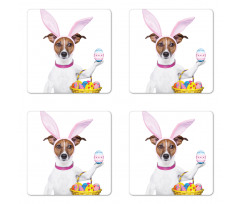 Dog as Easter Bunny Coaster Set Of Four