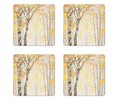 Birch Growth in Fall Coaster Set Of Four